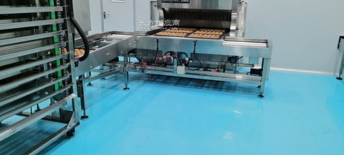 食品廠qs無菌凈化生產(chǎn)車間施工團(tuán)隊